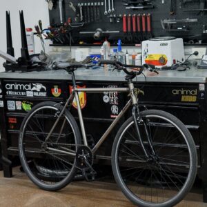 Urbana single speed t56