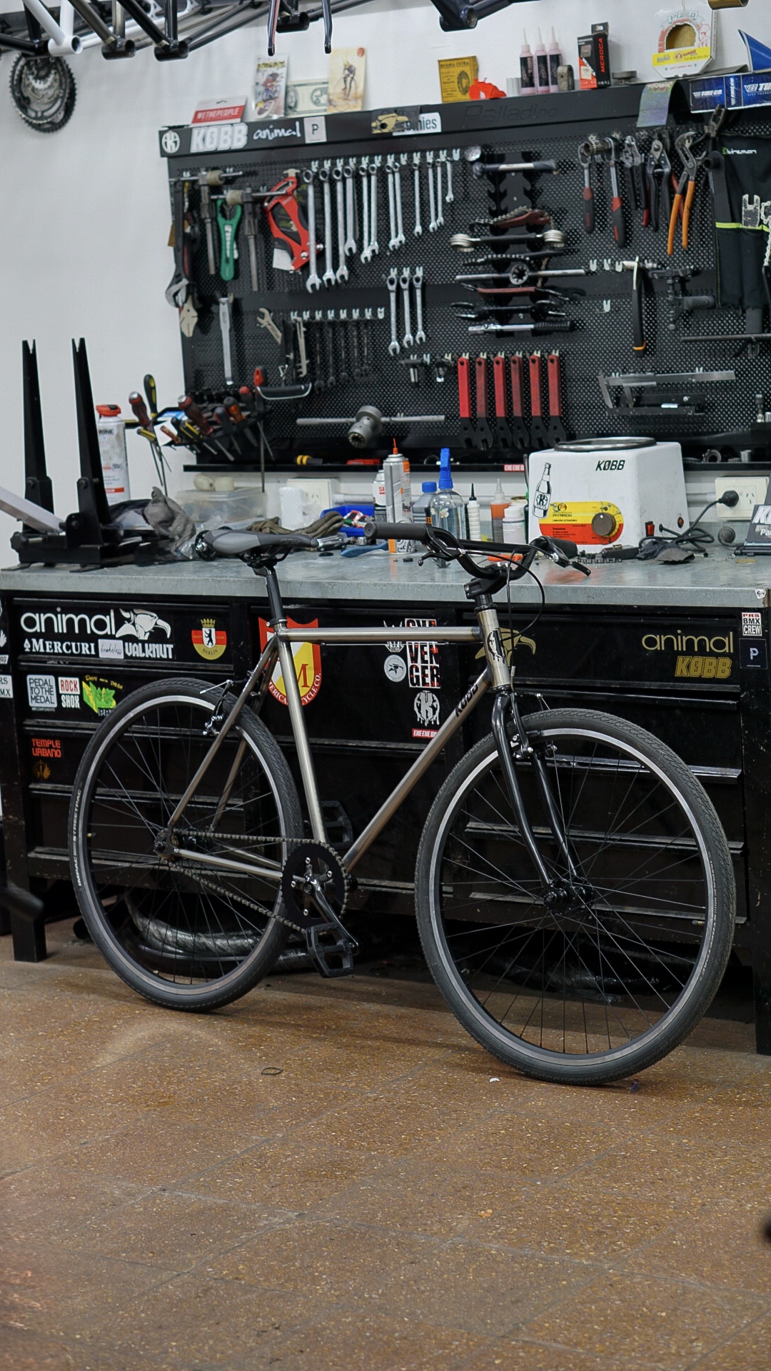 _DSC9273 Urbana single speed t56